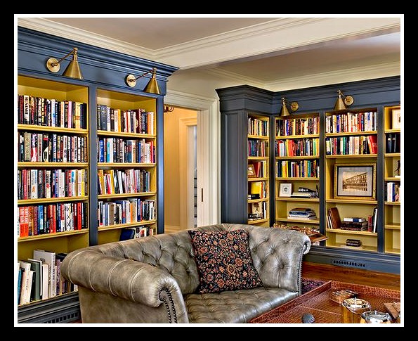 bookcases with art lights