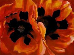 Oriental Poppies, 1928 Photo source: GeorgiaOkeefe.net
