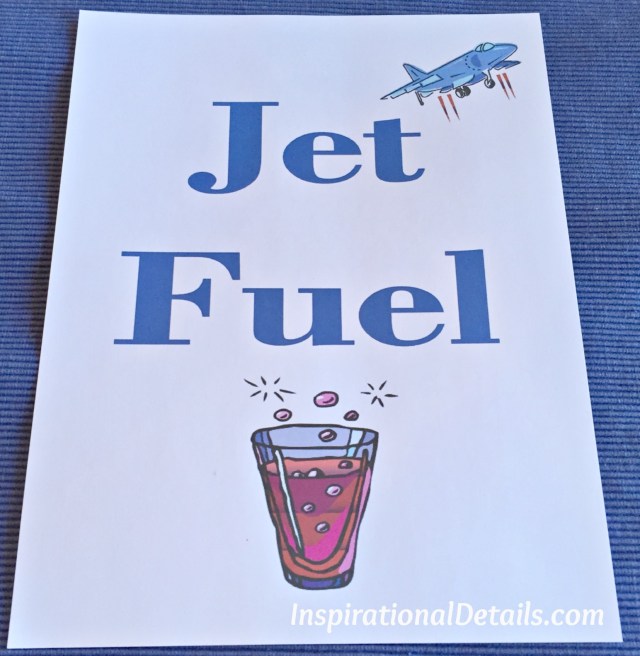 airline/pilot party ideas